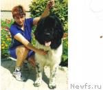 Превью фото № 6483