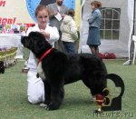 Превью фото № 65007