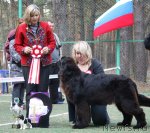 Превью фото № 65027