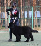 Превью фото № 65029