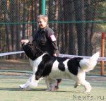 Превью фото № 65042