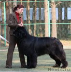 Превью фото № 65067