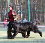 Превью фото № 65070