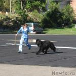 Превью фото № 6512