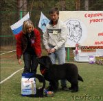 Превью фото № 65162