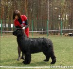 Превью фото № 65362