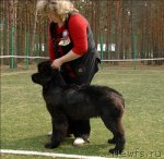 Превью фото № 65363