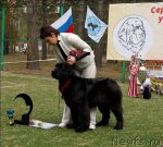 Превью фото № 65373