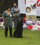 Превью фото № 65731