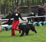 Превью фото № 65734