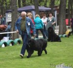 Превью фото № 65735