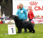 Превью фото № 65796