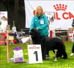 Превью фото № 65797