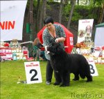 Превью фото № 65819