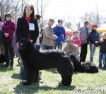 Превью фото № 65990