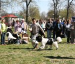 Превью фото № 66003