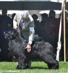 Превью фото № 66061