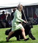 Превью фото № 66146