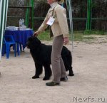 Превью фото № 66287