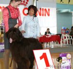 Превью фото № 66323