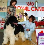 Превью фото № 66325