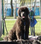 Превью фото № 66353