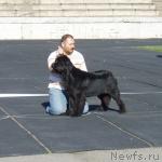 Превью фото № 6636