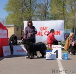 Превью фото № 66367