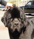 Превью фото № 66581