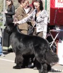 Превью фото № 66582