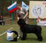 Превью фото № 66716