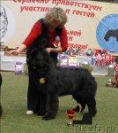 Превью фото № 66717