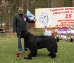 Превью фото № 66854