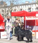 Превью фото № 66886