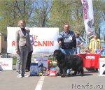 Превью фото № 66892