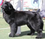 Превью фото № 66935