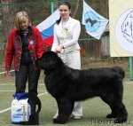 Превью фото № 66959