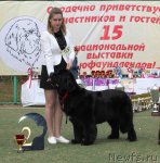 Превью фото № 66989