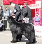 Превью фото № 67037