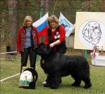 Превью фото № 67038