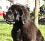 Превью фото № 67041