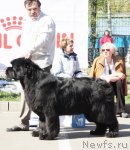 Превью фото № 67043