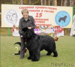 Превью фото № 67133