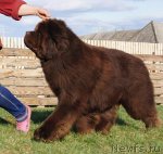 Превью фото № 67281