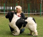 Превью фото № 67372