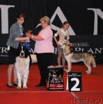 Превью фото № 67529