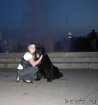 Превью фото № 67534