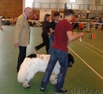 Превью фото № 67610