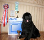 Превью фото № 67633