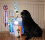 Превью фото № 67635